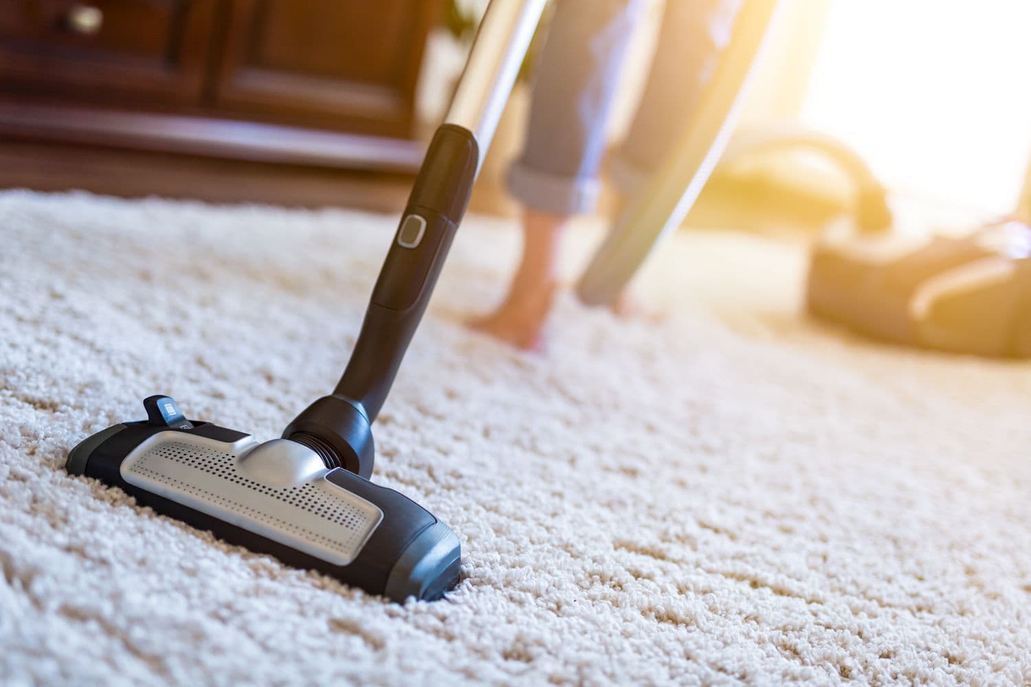 Expert Cat Urine Carpet Cleaning Roseville Services